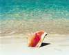 Four Seasons Resort Great Exuma 